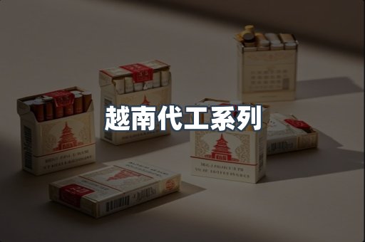 越南代工系列
